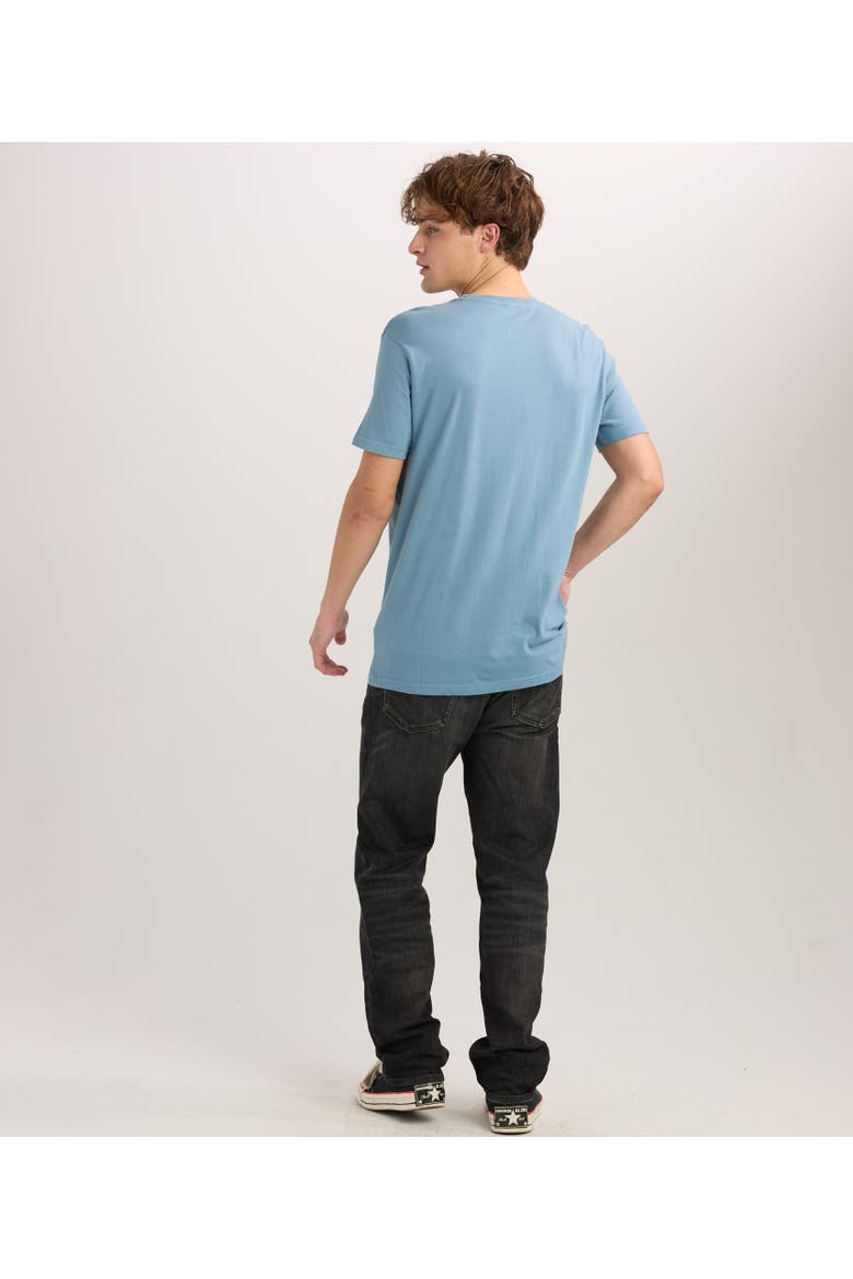 Regen Unisex Tee, Alternate, color, Slate