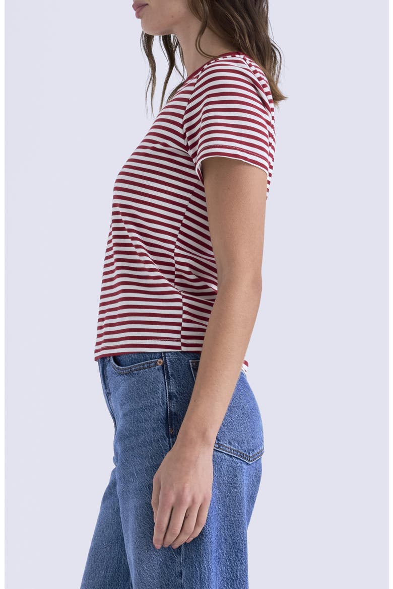 Alba Cotton T-Shirt, Alternate, color, RACER RED STRIPE
