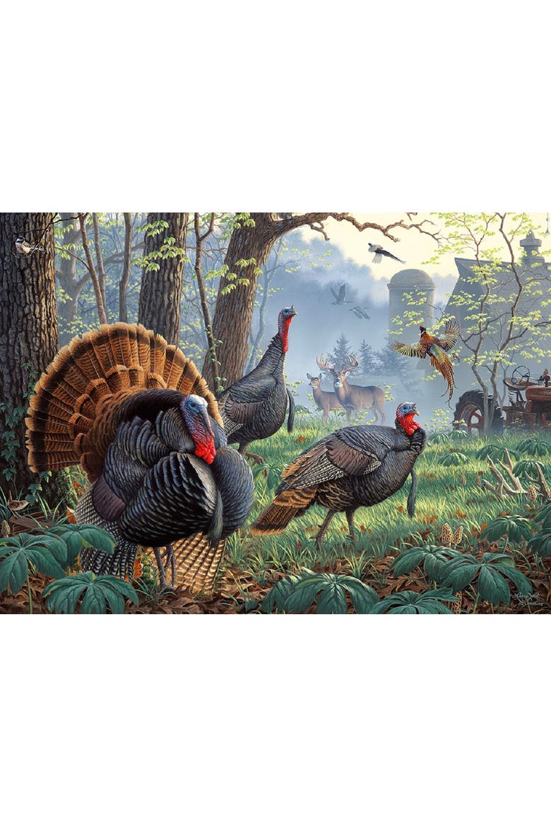 Uncle Tom's Farm 1000 piece Jigsaw Puzzle for Adults, Alternate, color, Multicolor