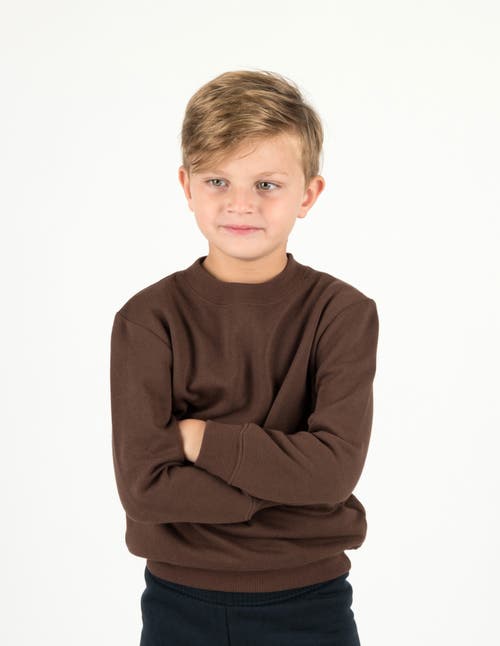 Leveret Kids Pullover Sweatshirt, Long Sleeve, Solid Colors In Brown
