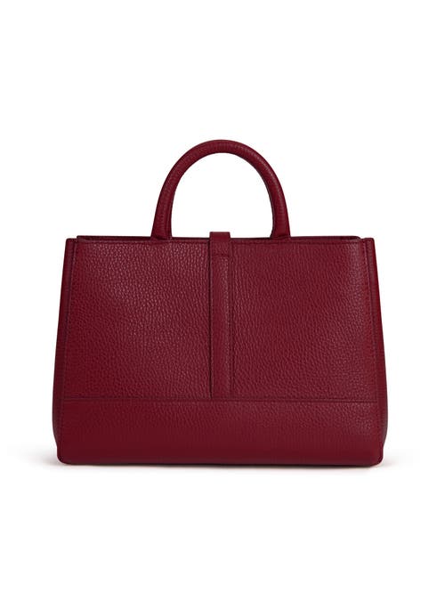 Teddy Blake Lola Stampatto 10" In Burgundy