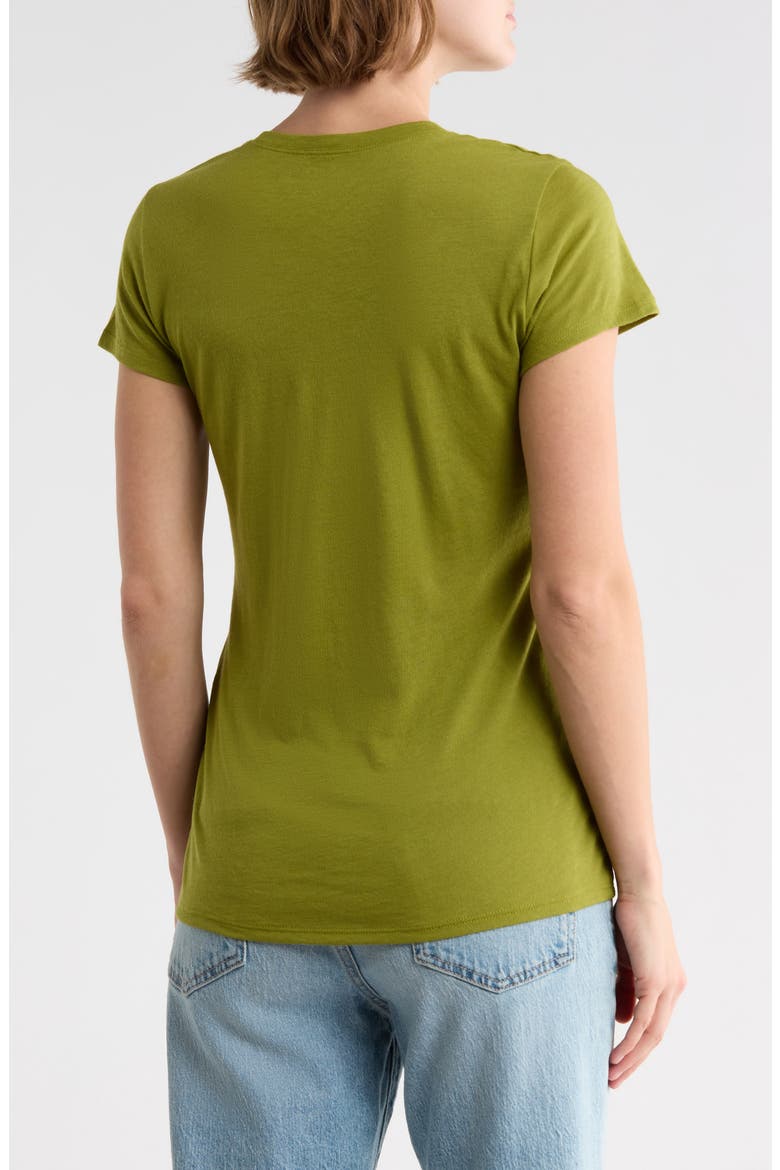 Little Boy T-Shirt, Alternate, color, HERBARIA