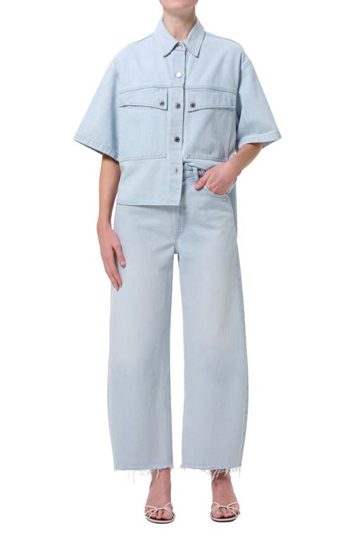 Agolde Low Curve Fray Mid Rise Jeans In Flourish