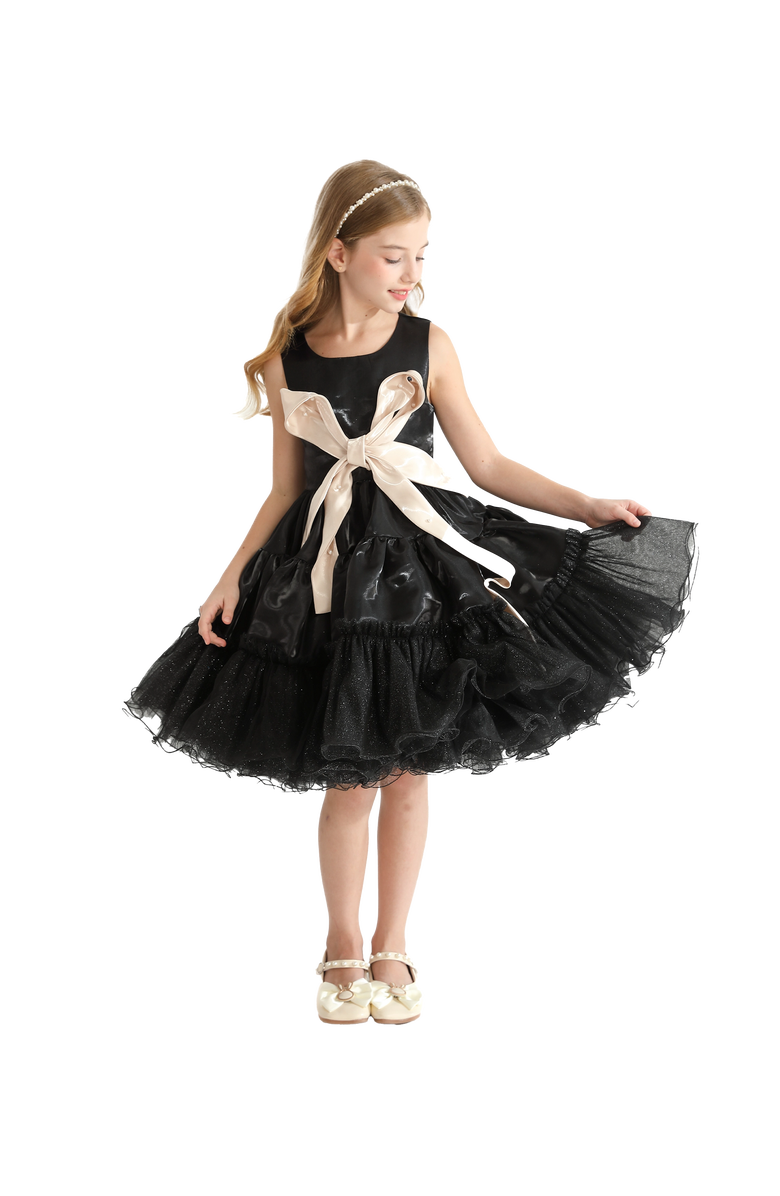 Tulleen Madrona Dress, Alternate, color, Black