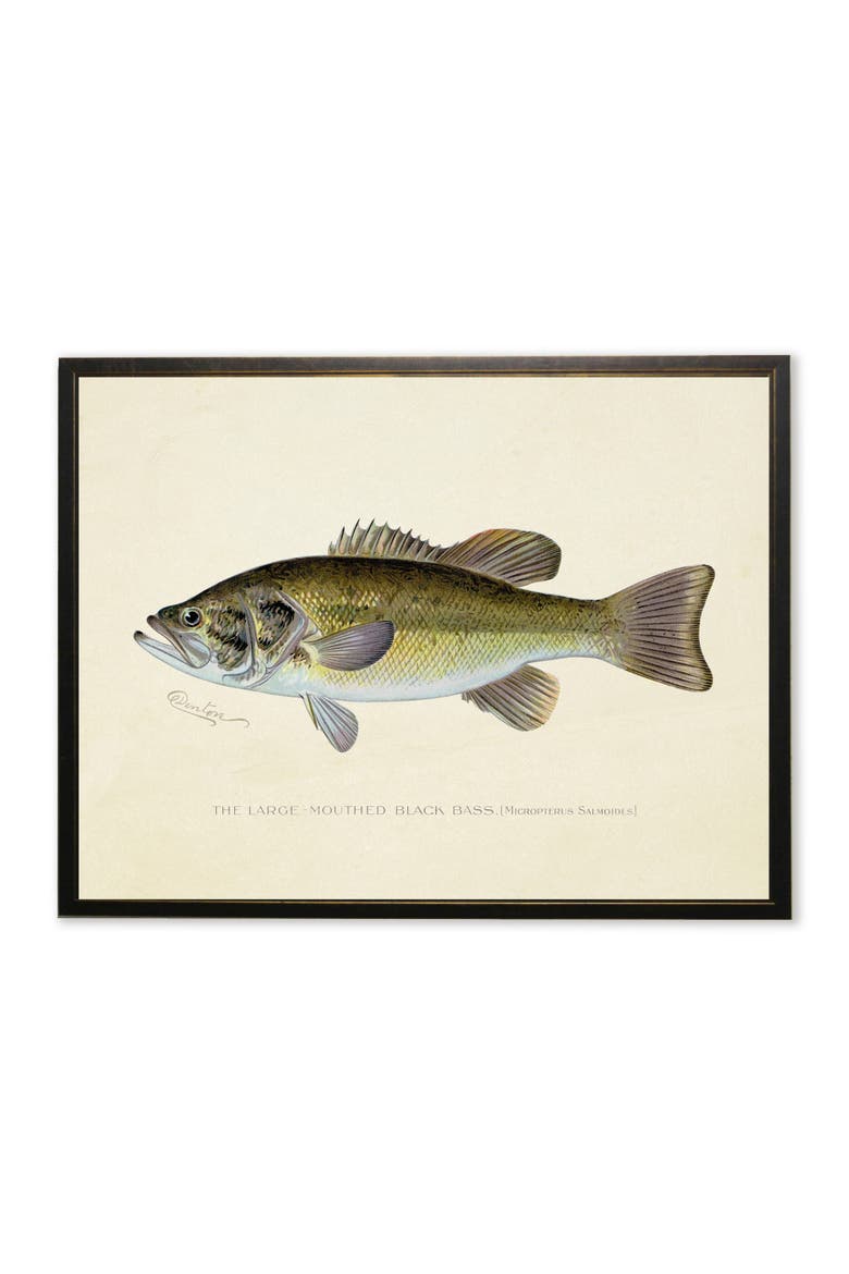 Large-Mouthed Black Bass Print in Copper and Black Frame, Main, color, Multi