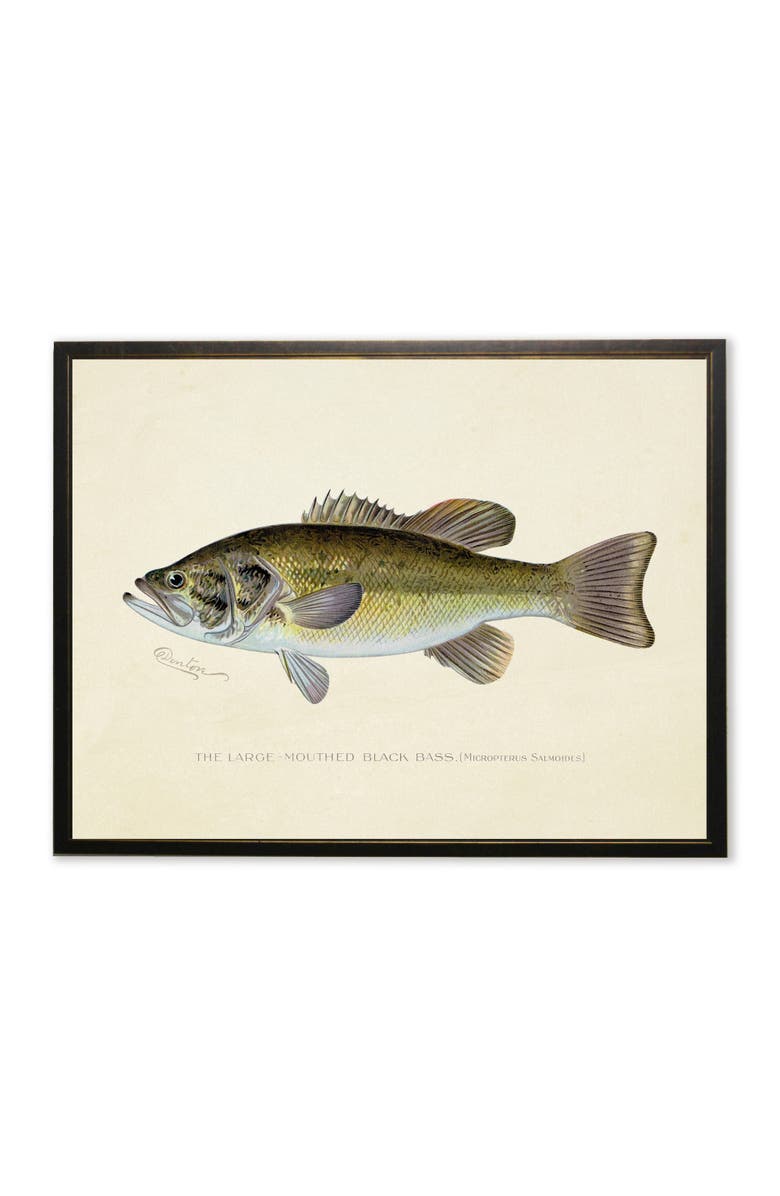 Antique Curiosities Large-Mouthed Black Bass Print in Copper and Black Frame, Main, color, Multi