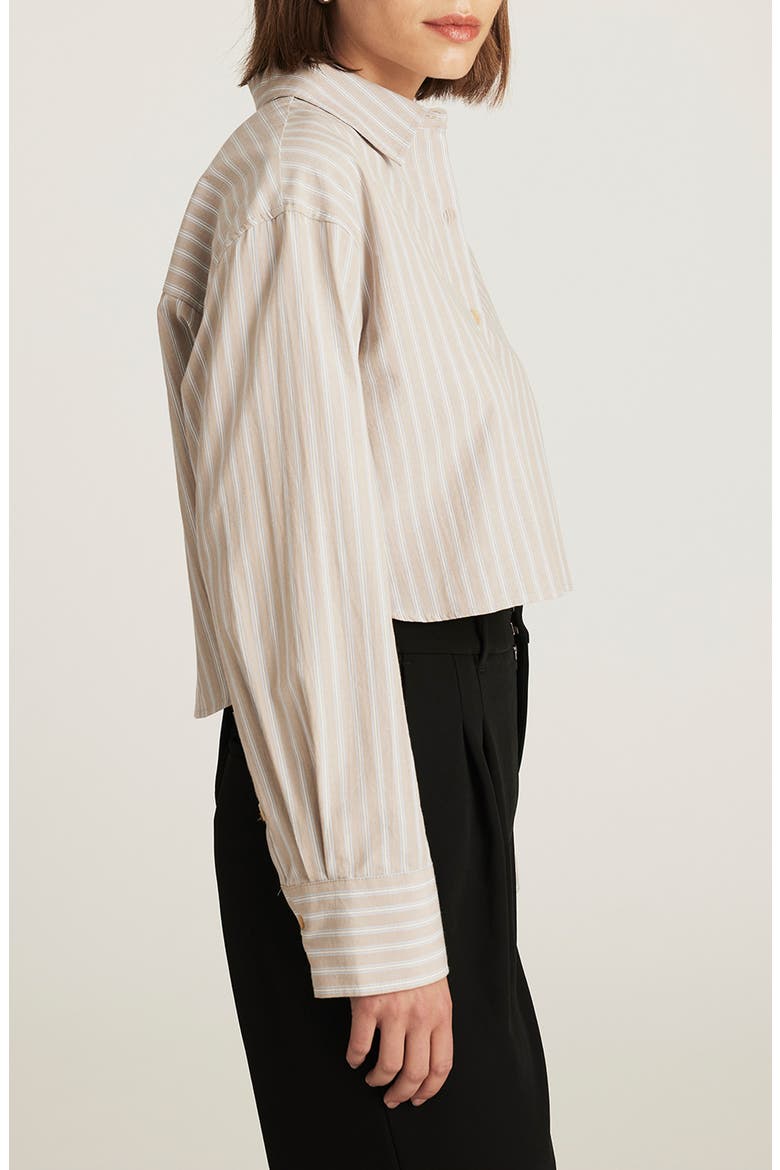 Stripe Crop Cotton Button-Up Shirt, Alternate, color, BEIGE STRIPE