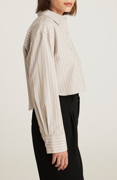 Mavi Jeans Stripe Crop Cotton Button-up Shirt In Brown