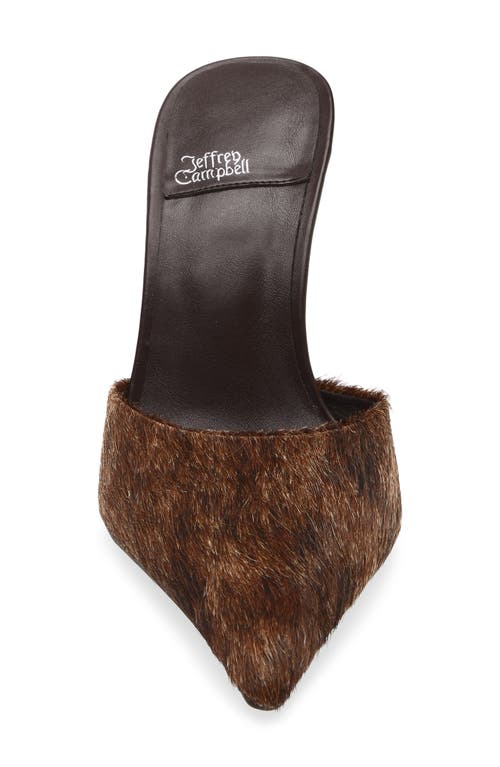 Jeffrey Campbell Robyn Genuine Calf Hair Pointed Toe Mule In Brown