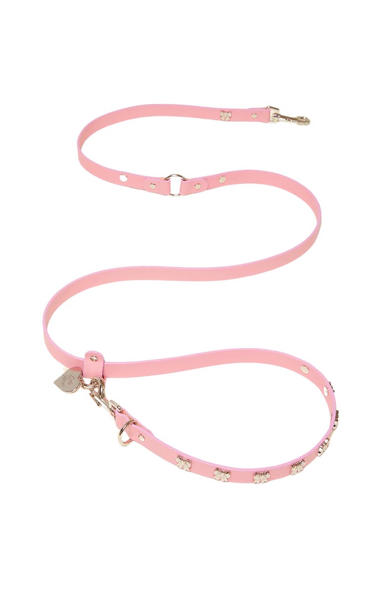Little Beast Ian Charms x Little Beast Leather Pet Leash, Main, color, 
