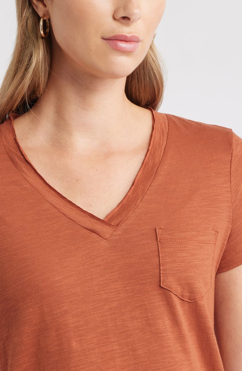 Caslon<sup>®</sup> Cotton & Modal V-Neck T-Shirt, Alternate, color, Rust Sequoia