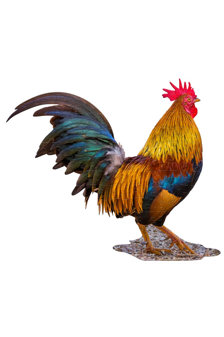 Puzzles LiL' ROOSTER 100 Piece Jigsaw Puzzle, Alternate, color, Multicolored