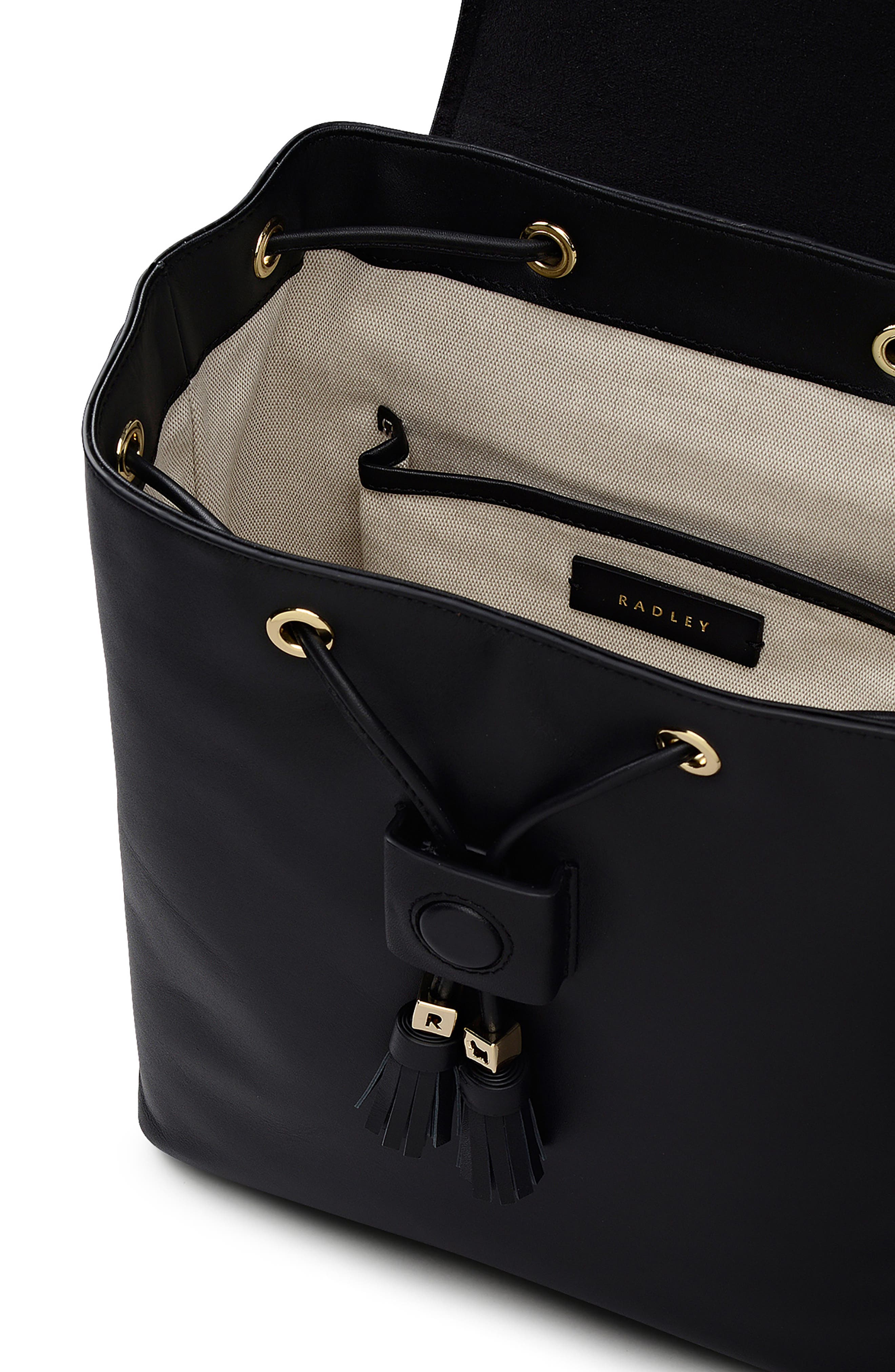 Radley Noble Alley Small Leather Flapover Backpack, Alternate, color, Black