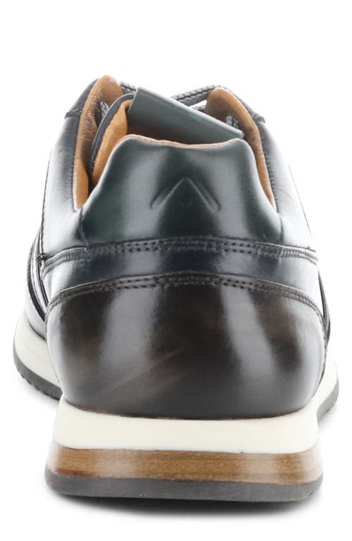 Ambitious 11721 Low Top Sneaker In Black