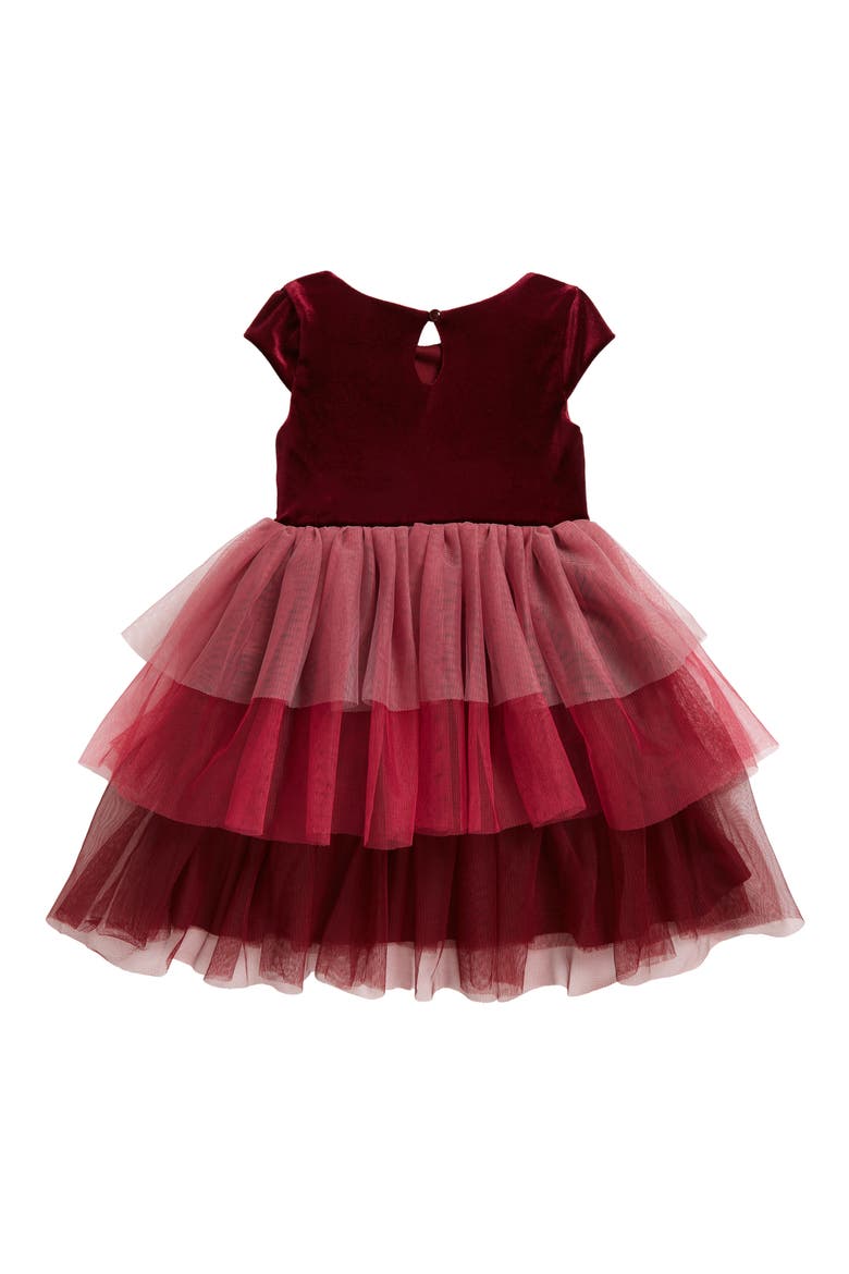 Kids' Crystal Embellished Tiered Tulle Dress, Alternate, color, BURGUNDY