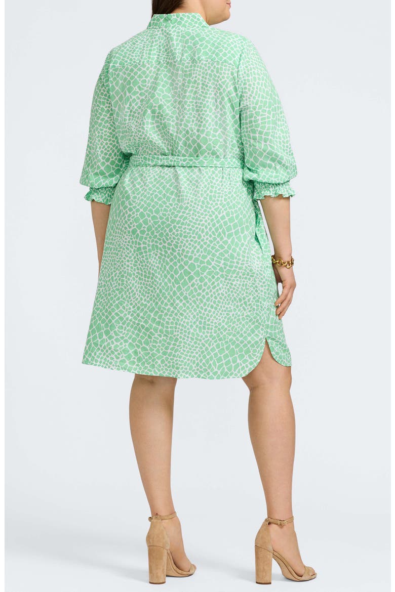 Abby Belted Linen Blend Shirtdress, Alternate, color, NEW LEAF/ WHITE