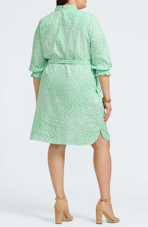 Foxcroft Abby Belted Linen Blend Shirtdress In New Leaf/white