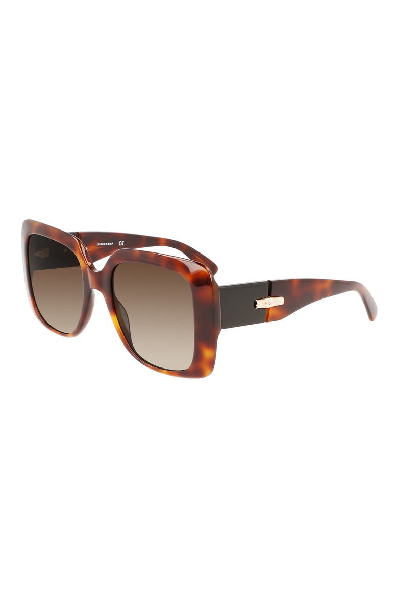 Roseau 53mm Gradient Square Sunglasses, Alternate, color, HAVANA