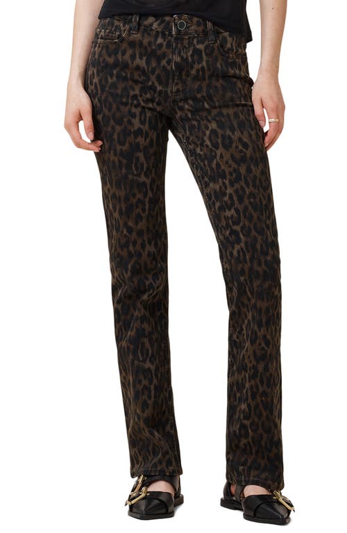 Allsaints Haldan Leopard Print Slim Bootcut Jeans In Animal Print
