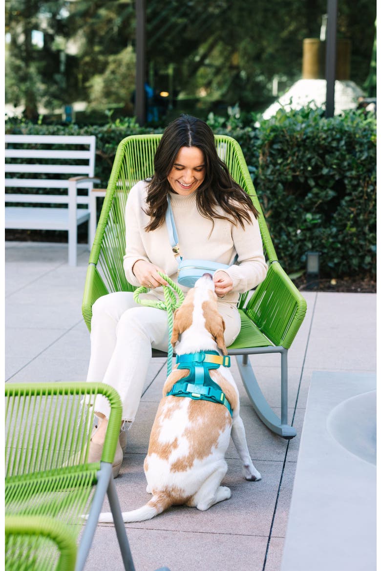 Joey Dog Harness, Alternate, color, Joey