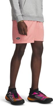 Under Armour Icon Mesh Shorts