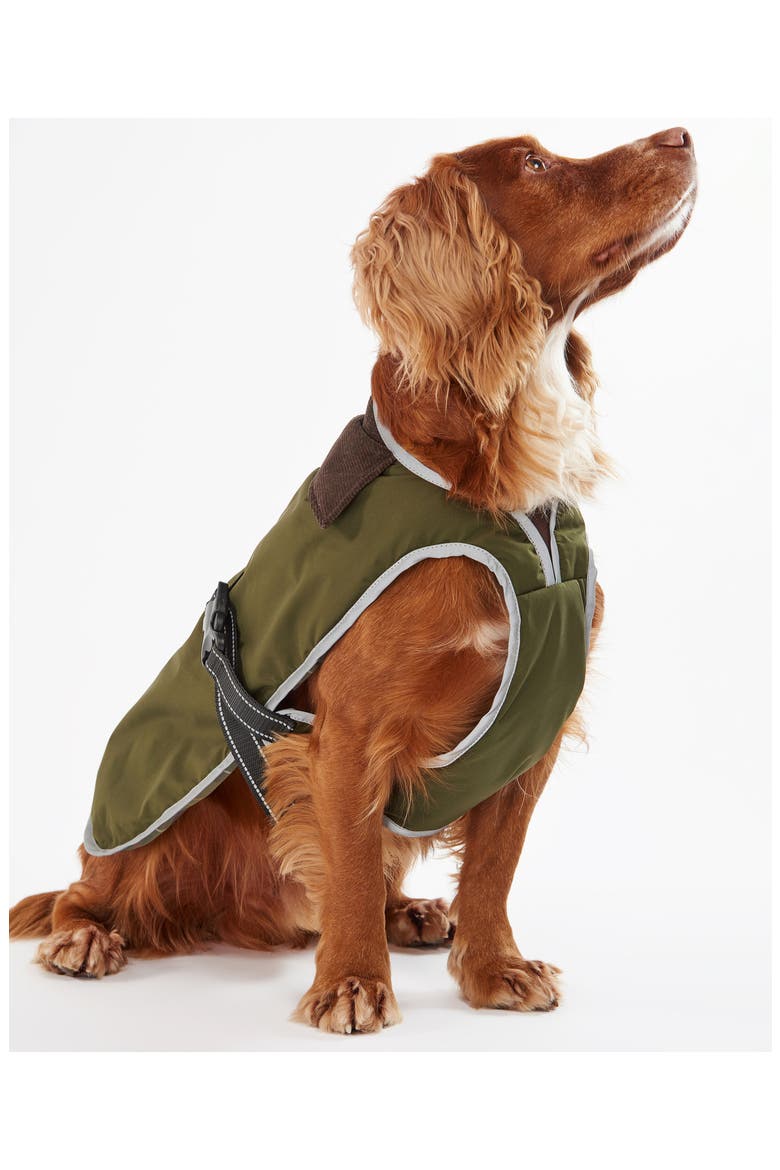 Monmouth Waterproof Dog Coat, Alternate, color, OLIVE