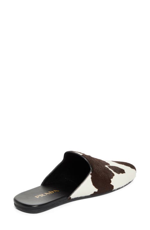 Prada Genuine Calf Hair Mule