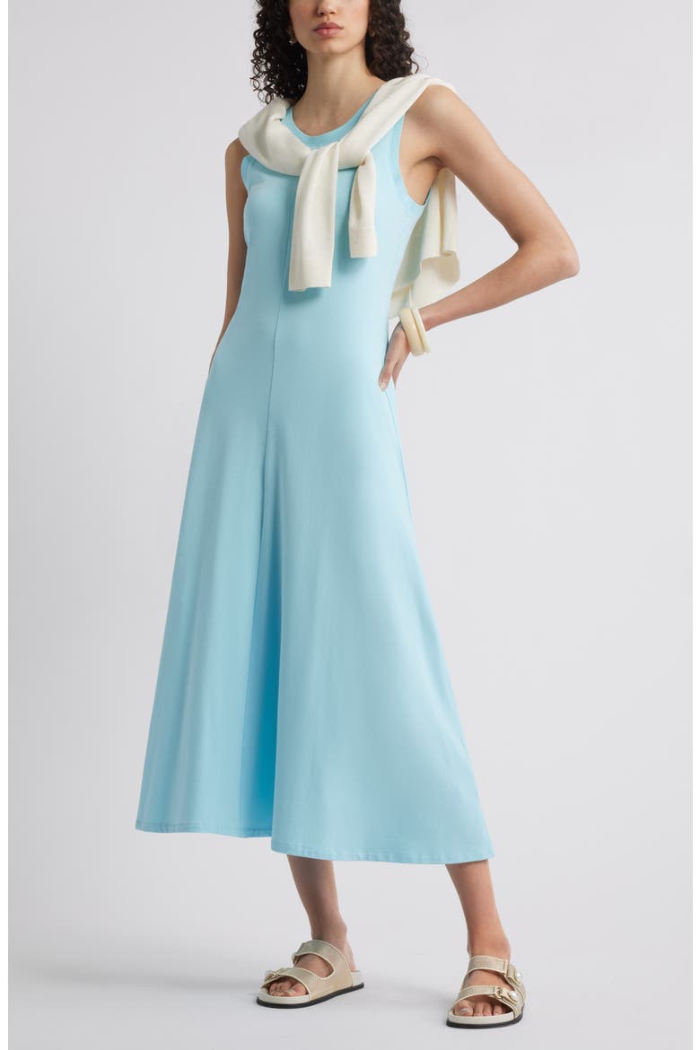 Sleeveless Cotton Blend Dress, Alternate, color, BLUE ATOMIZER