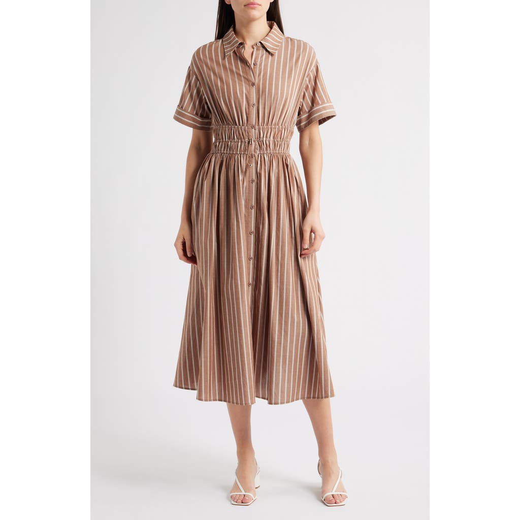 En Saison Stripe Cotton Midi Shirtdress In Brown