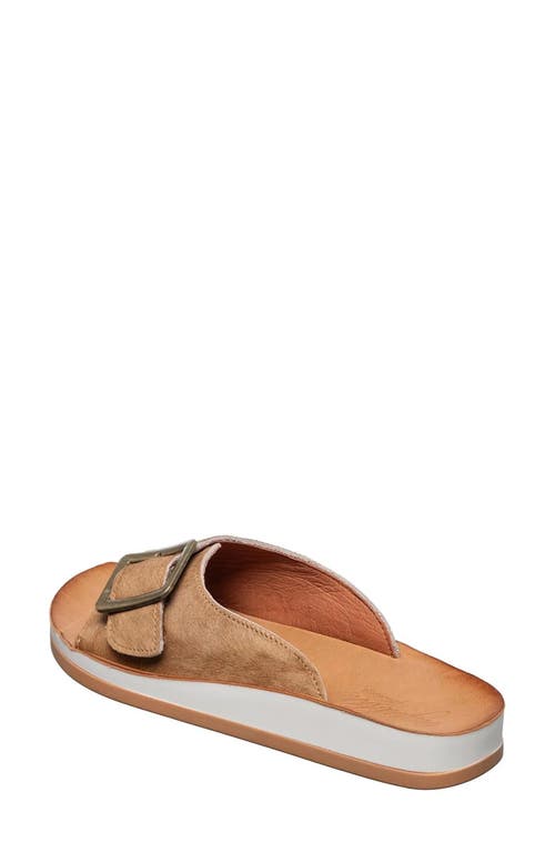 Antelope Farley Genuine Calf Hair Slide Sandal In Brown
