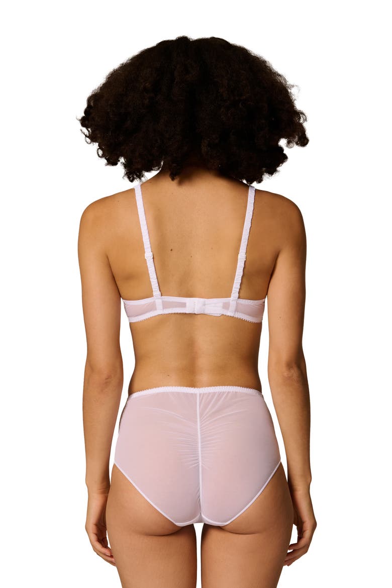 Intrigue Floral Embroidered Briefs, Alternate, color, WHITE