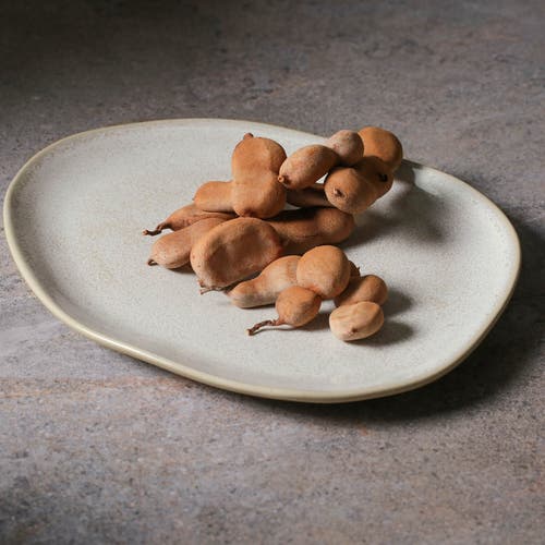 Porto Brasil Oval Dinner Plate Set Of 6 In Brown