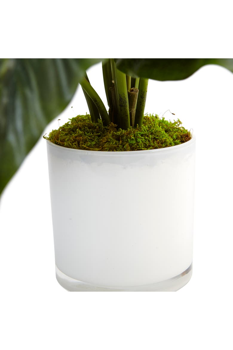 Spathiphyllum Artificial Flowering Peace Lily in Glossy Glass Planter, Alternate, color, Green