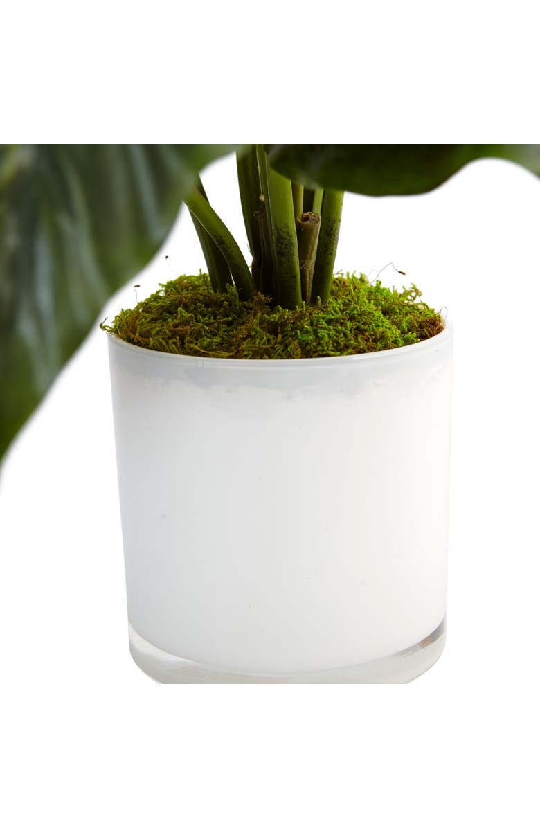 NEARLY NATURAL Spathiphyllum Artificial Flowering Peace Lily in Glossy Glass Planter, Alternate, color, Green