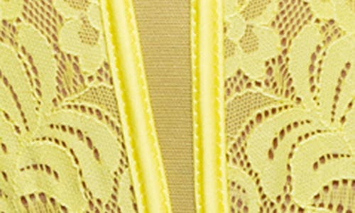 Roma Confidential Kiss & Bloom Teddy In Yellow