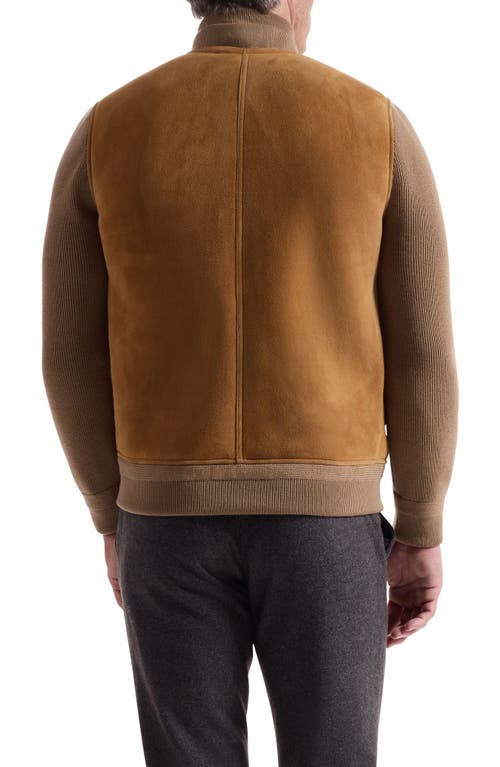 Bugatchi Genuine Shearling & Merino Wool Rib Bomber Jacket In Brown
