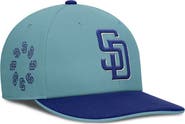 Nike Men's Nike  Turquoise San Diego Padres Father's Day Pro Performance Snapback Hat