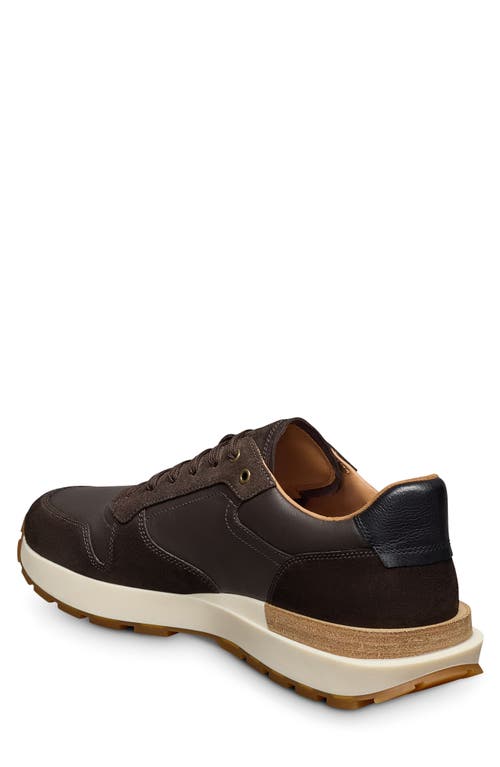 Allen Edmonds Lionel Low Top Sneaker In Brown