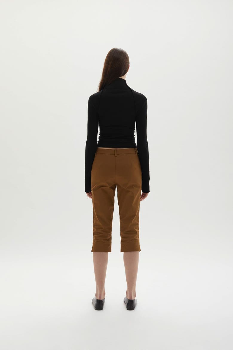 Sara Capri Pants, Alternate, color, Olive