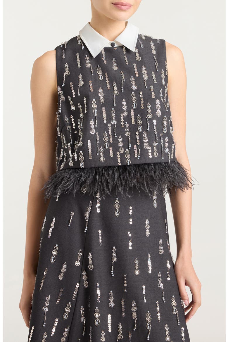 Selene Embellished Feather Top, Main, color, CHARCOAL MULTI