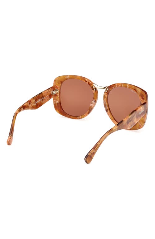 Max Mara 55mm Round Sunglasses In Brown