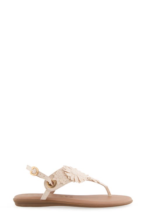 AEROSOLES AEROSOLES CONNIE FLOWER SLINGBACK SANDAL