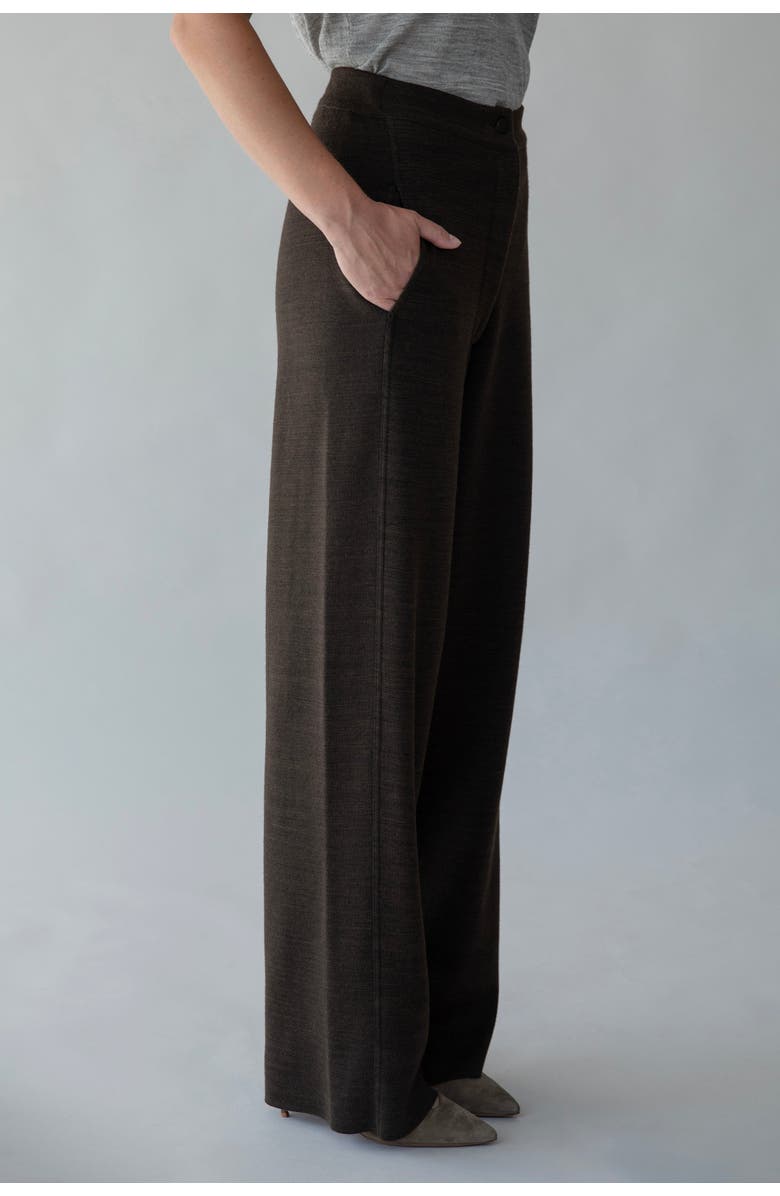 SSKEIN Laurent Trousers, Alternate, color, Cocoa