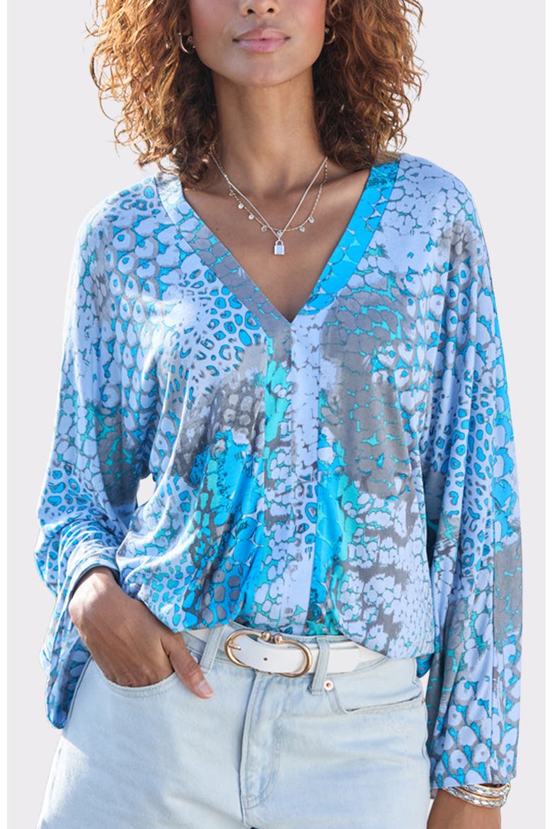 Women's Printed Long Sleeve Top, Main, color, Blue-Printed