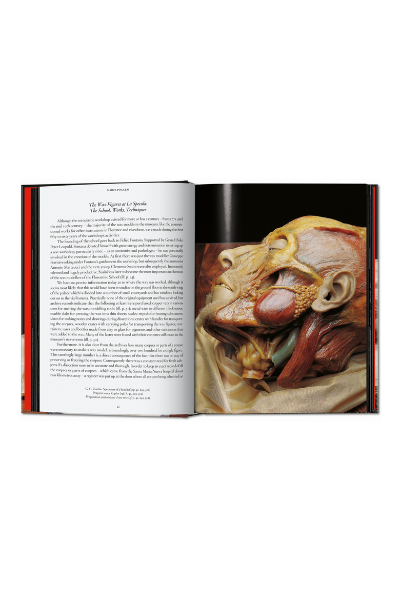 Anatomical Waxes 45th ed Book, Alternate, color, Black