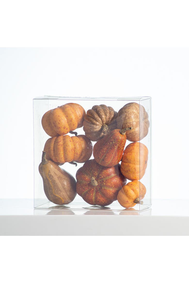 Weathered Harvest Thanksgiving Mixed Orange Pumpkin & Gourd Set of 9, Alternate, color, Orange