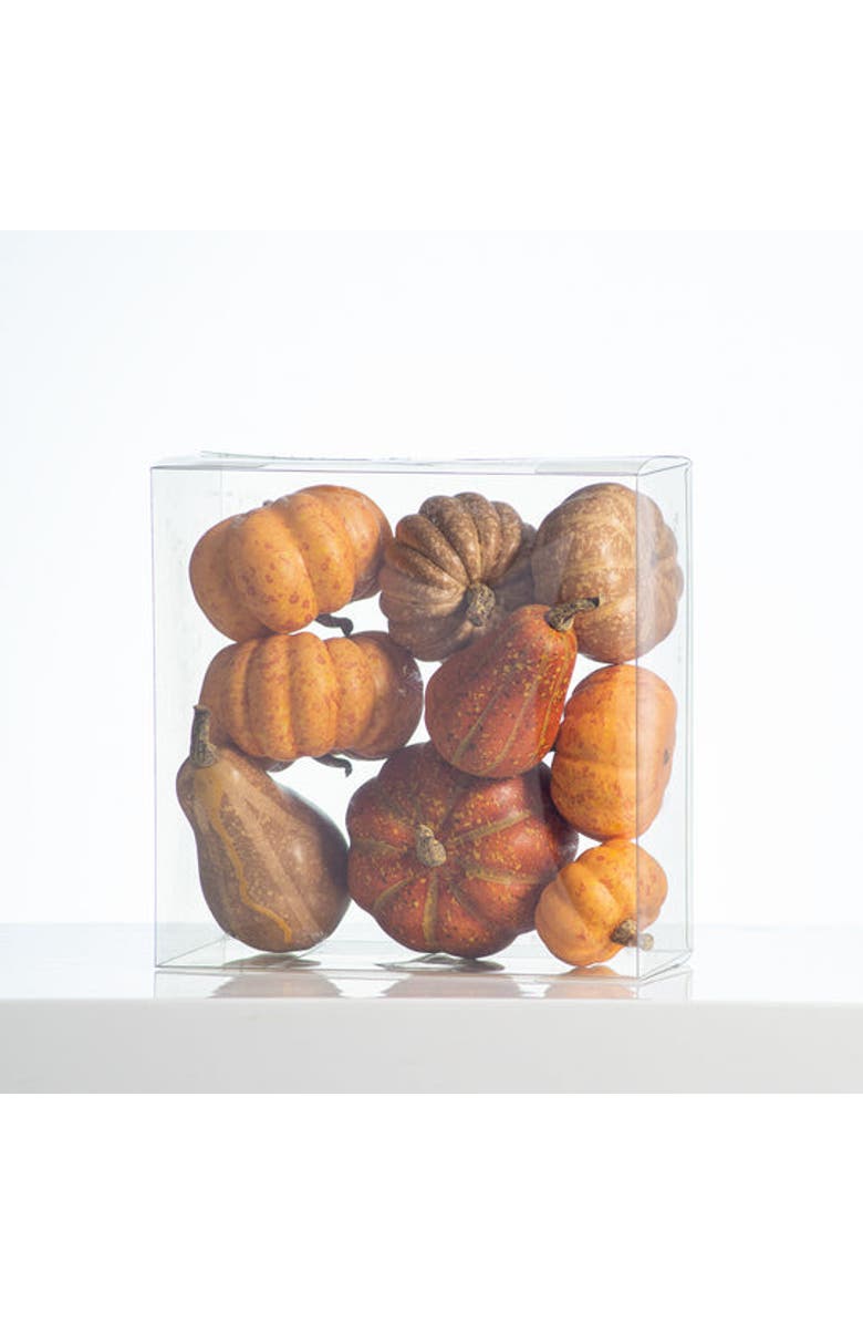Darby Creek Trading Weathered Harvest Thanksgiving Mixed Orange Pumpkin & Gourd Set of 9, Alternate, color, Orange