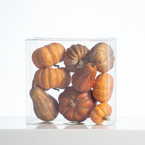 Darby Creek Trading Weathered Harvest Thanksgiving Mixed Orange Pumpkin & Gourd Set Of 9 In Orange