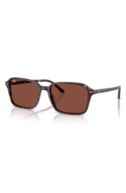Ray Ban Ray-ban 58mm Square Sunglasses In Red