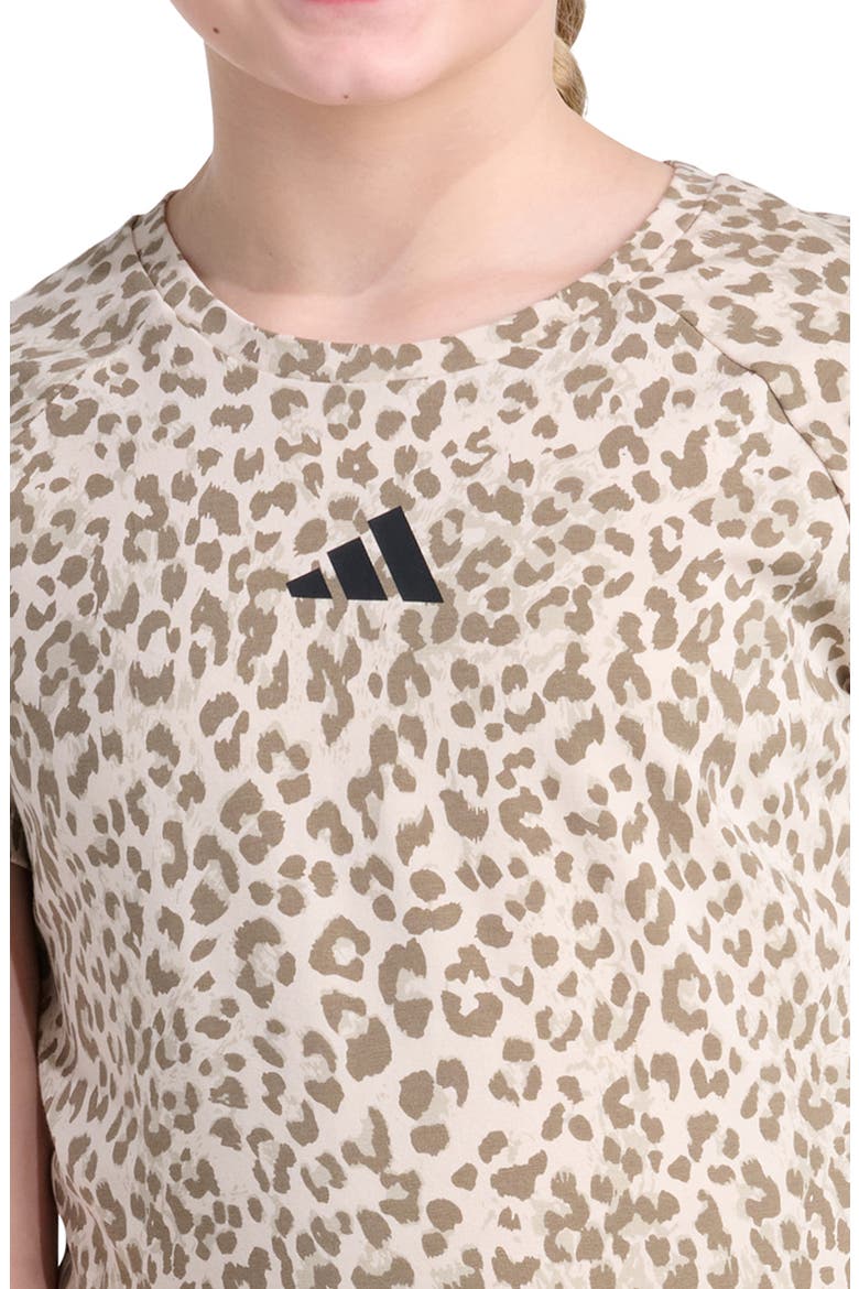 Kids' Leopard Print Raglan T-Shirt, Alternate, color, MEDIUM BEIGE